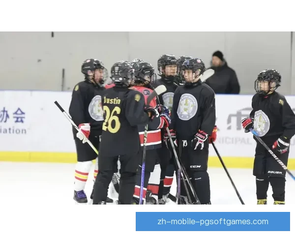 冰球教学视频大全：学习技巧，提高水平