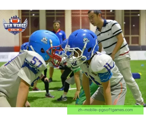 学会橄榄球：实用教学视频汇总