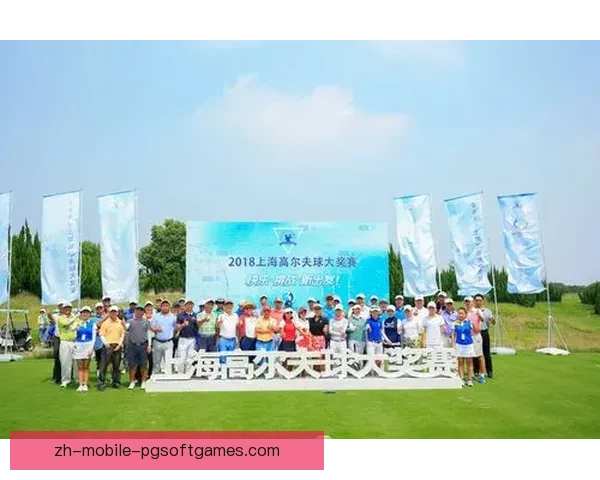 挑战高尔夫巨星：争夺世界大奖赛的荣耀