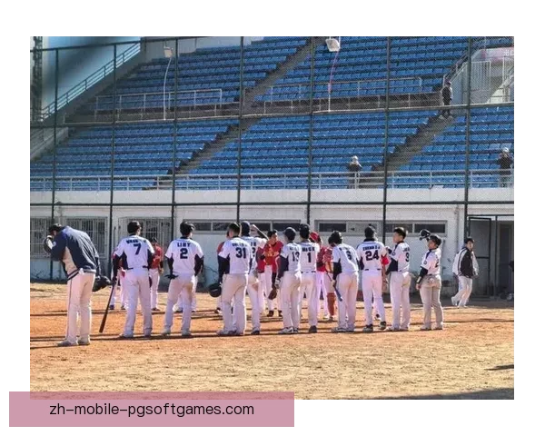 棒球比赛中如何运用策略取得胜利