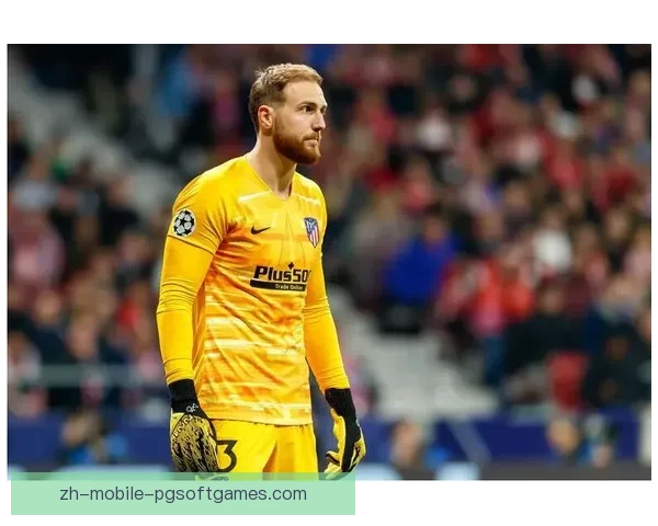 羽毛球冠军的辉煌征程传奇之路 羽毛球冠军的辉煌征程传奇之路