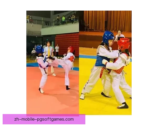 跆拳道积分榜一览：实力较量，英豪榜首闪耀